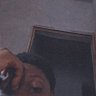 unorthodox 🗿's profile picture