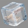 FroznQuid profil fotoğrafı