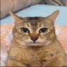 윤슬98 profil fotoğrafı