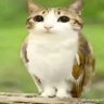 Profilbild von ^_^