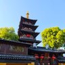 胖肖 profil fotoğrafı
