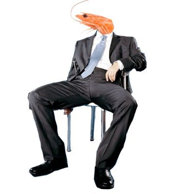 새우🦐's profile picture