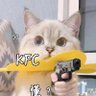 Yuki Judai's profile picture