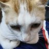 Profilbild von lilaabu