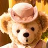 Profilbild von おだっふぃー🐻