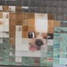 Profilbild von Fronni