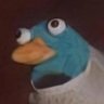Eric Napoe's profile picture