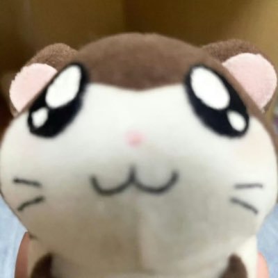 plzcty's profile picture