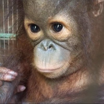 taeminluvr7's profile picture
