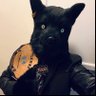 Profilbild von Phoenix Coyfolf