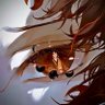 Фото профиля Shura