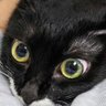 Profilbild von kitty