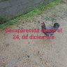 🧐 profil fotoğrafı