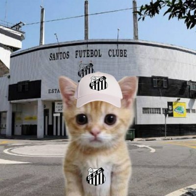gato santista's profile picture