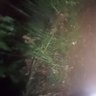 Bancha khuntum profil fotoğrafı