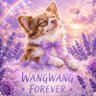Фото профиля リア🐶🌈💖