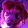 Profilbild von 🌻 Azi.dog 🟦☁️