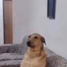 เบื่อโลก 的头像
