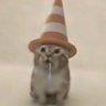 くもももももう's profile picture