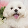 ななみ 的头像