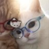 yess ໑̣ profil fotoğrafı