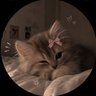 Profilbild von Rana