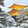 Фото профиля ノコッチ