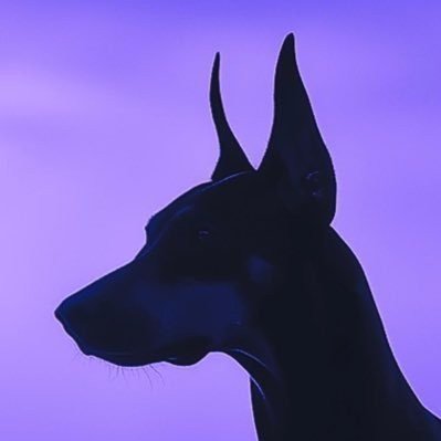 MattTrakker's profile picture
