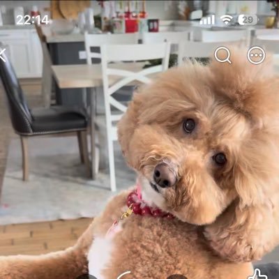 Mary's profile picture