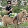 DK profil fotoğrafı