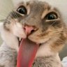 Profilbild von Ian E