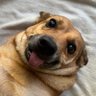 Opa!! Foi Só Uma Gafe's profile picture