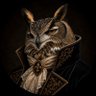Le Grand Duc's profile picture