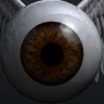 𝘛𝘏𝘙ÆSHR's profile picture