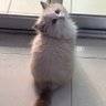ov profil fotoğrafı