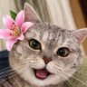 lili profil fotoğrafı