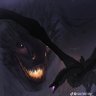 Fluff's profile picture