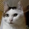 たかじょう's profile picture