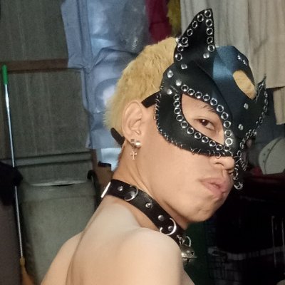 CATBOY🐈⬛'s profile picture