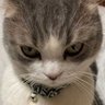 Profilbild von CRIMZON TERA