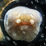 Фото профиля ふき