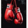 Profilbild von BILL BRADSKY THE CHAMP!!