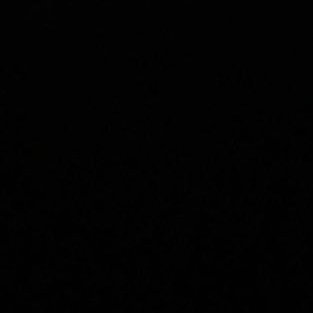 hiiiinunu's profile picture