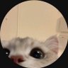 Profilbild von .