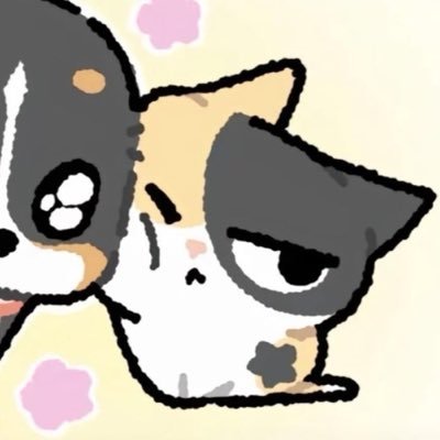 wangmiaoovo's profile picture