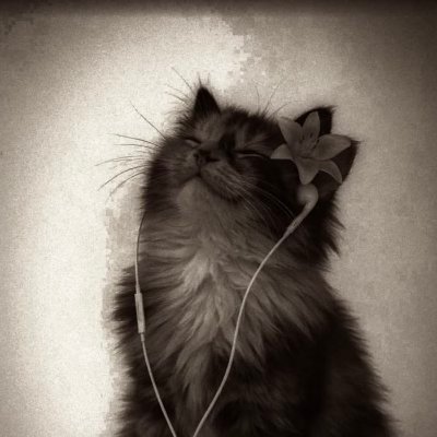 🎧's profile picture