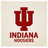 Фото профиля Indiana