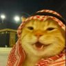 Profilbild von NQDisciple