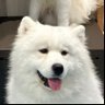 高瀬's profile picture
