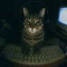 Ale1O's profile picture